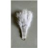 Image 3 : CASE OF FEATHERED FANS