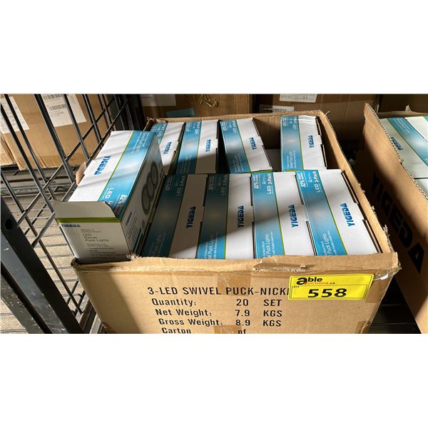 CASE OF YIGEDA RECESS OR SURFACE MOUNT SWIVEL PUCK LIGHTS