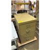 Image 2 : 2 DRAWER METAL FILING CABINET & CONTENTS