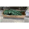 Image 1 : 180CM LED PRE-LIT CHRISTMAS TREE IN BOX