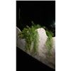 Image 10 : LARGE GROUP OF ARTIFICIAL FLOWERS AND PLANTS LOCATED ON SECOND FLOOR