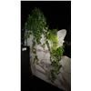 Image 11 : LARGE GROUP OF ARTIFICIAL FLOWERS AND PLANTS LOCATED ON SECOND FLOOR