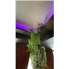 Image 4 : LARGE GROUP OF ARTIFICIAL FLOWERS AND PLANTS LOCATED ON SECOND FLOOR
