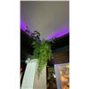 Image 5 : LARGE GROUP OF ARTIFICIAL FLOWERS AND PLANTS LOCATED ON SECOND FLOOR