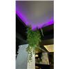 Image 6 : LARGE GROUP OF ARTIFICIAL FLOWERS AND PLANTS LOCATED ON SECOND FLOOR