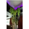 Image 7 : LARGE GROUP OF ARTIFICIAL FLOWERS AND PLANTS LOCATED ON SECOND FLOOR