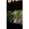 Image 9 : LARGE GROUP OF ARTIFICIAL FLOWERS AND PLANTS LOCATED ON SECOND FLOOR