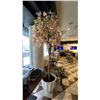 Image 4 : 9FT TALL ARTIFICIAL CHERRY BLOSSOM TREE IN FIBREGLASS PLANTER