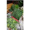 Image 2 : LARGE GROUP OF HANGING ARTIFICIAL PLANTS AND FLOWERS ON MAIN FLOOR