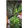 Image 4 : LARGE GROUP OF HANGING ARTIFICIAL PLANTS AND FLOWERS ON MAIN FLOOR