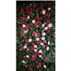 Image 5 : LARGE GROUP OF HANGING ARTIFICIAL PLANTS AND FLOWERS ON MAIN FLOOR