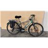 Image 2 : GREY GIANT TWIST 7-SPEED E-BIKE -NO CHARGER NO KEY-