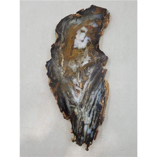 Petrified Wood Slab