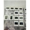 Image 4 : Binder of Assorted Slides