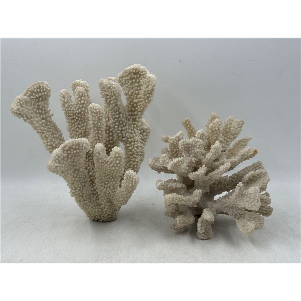 2 Pieces of Coral