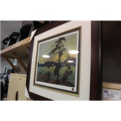 Limited Edition Print 361/795 'Jack Pine' By