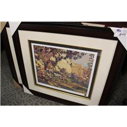 Limited Edition Print 215/495 'Asters & Apples' By