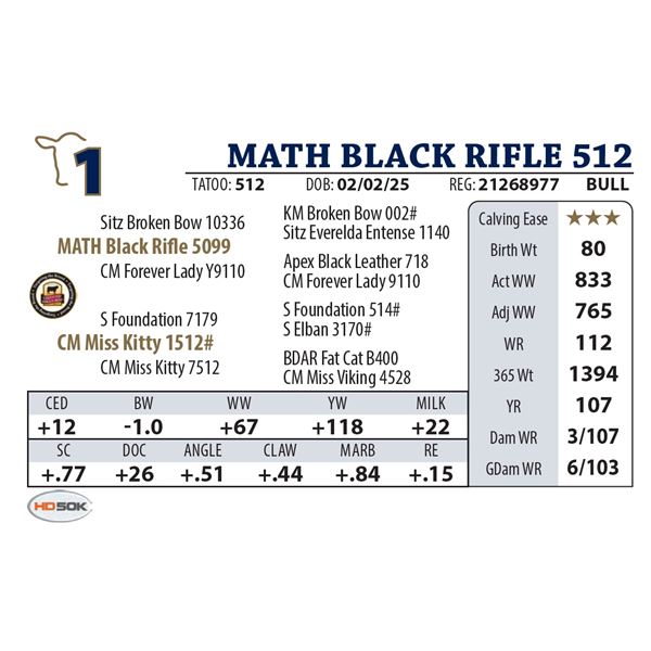 MATH BLACK RIFLE 512