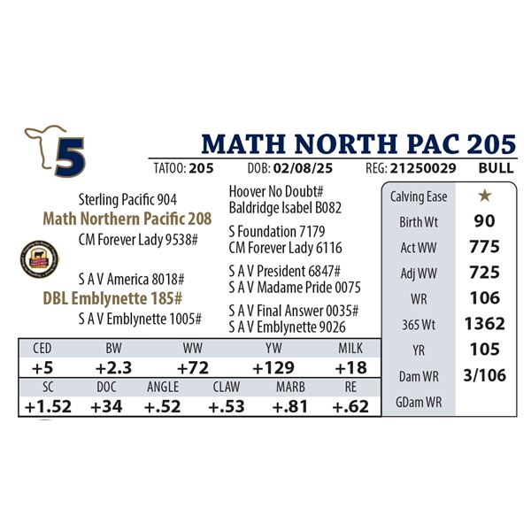MATH NORTH PAC 205