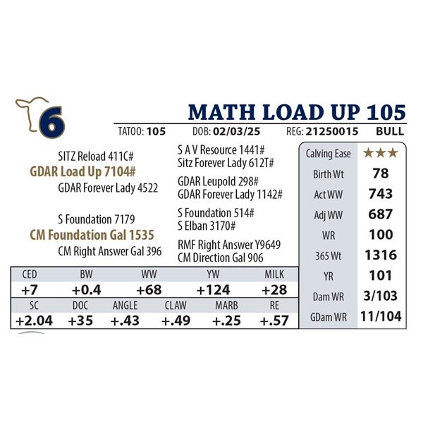 MATH LOAD UP 105