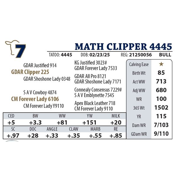 MATH CLIPPER 4445