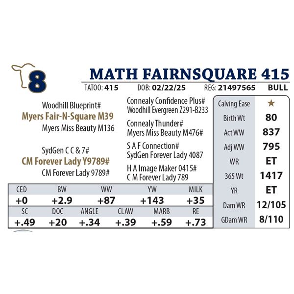 MATH FAIRNSQUARE 415