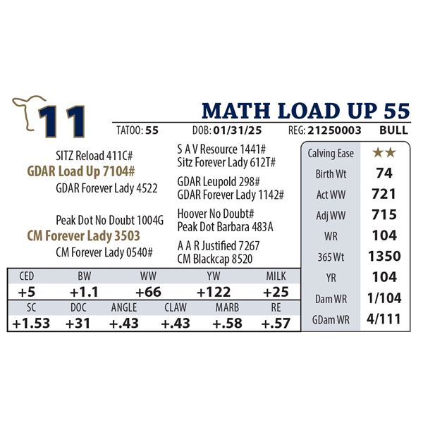 MATH LOAD UP 55