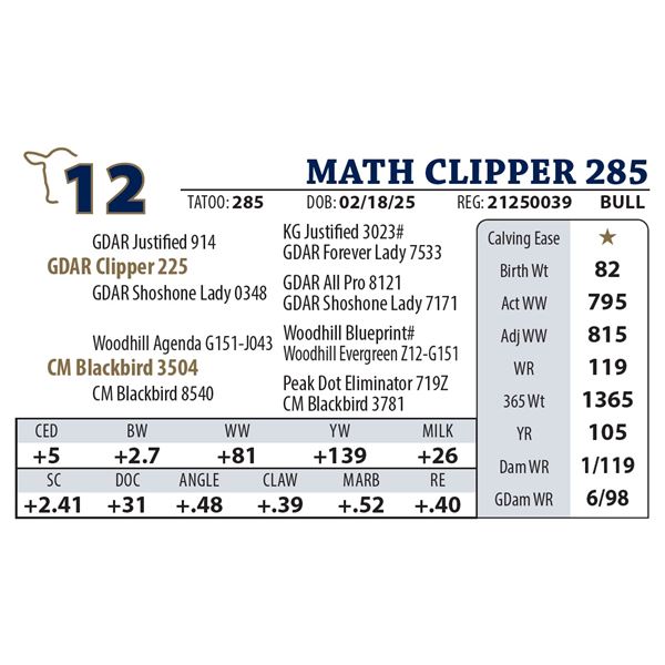 MATH CLIPPER 285