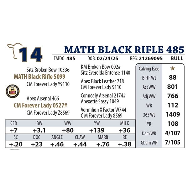 MATH BLACK RIFLE 485