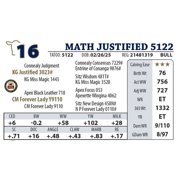 MATH JUSTIFIED 5122