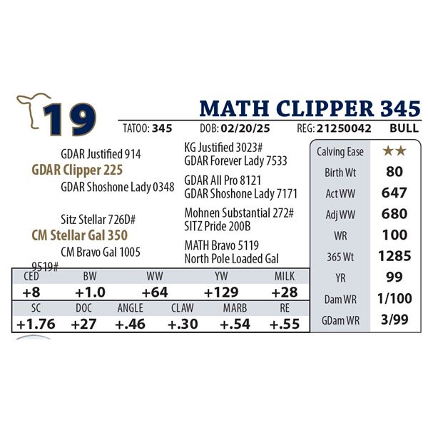 MATH CLIPPER 345