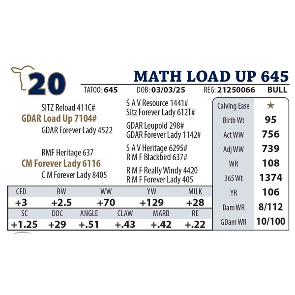 MATH LOAD UP 645