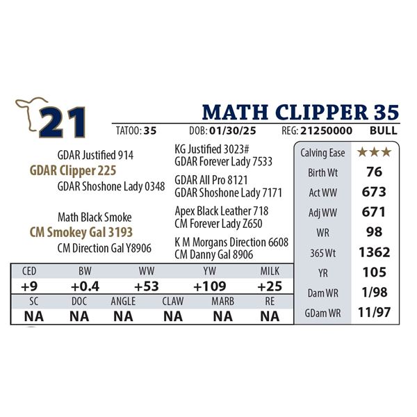 MATH CLIPPER 35