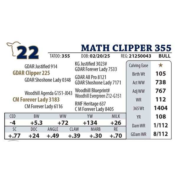 MATH CLIPPER 355