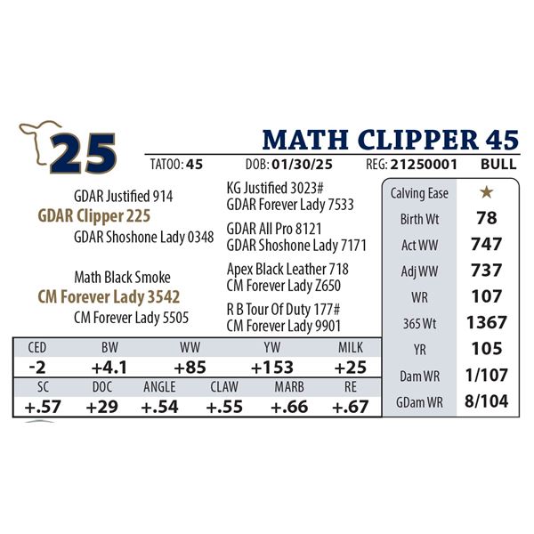 MATH CLIPPER 45
