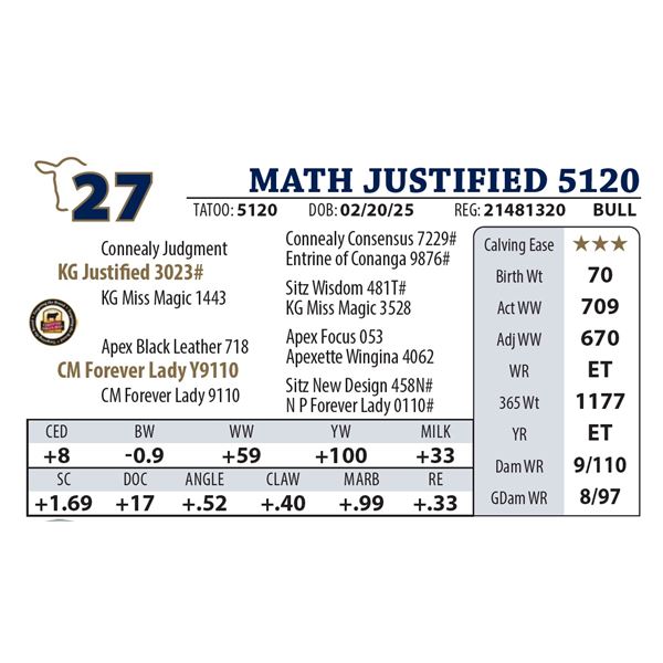 MATH JUSTIFIED 5120
