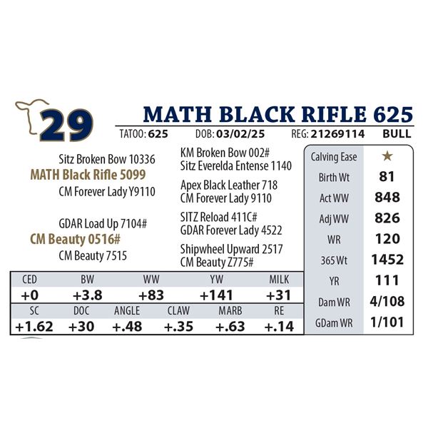 MATH BLACK RIFLE 625