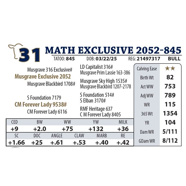 MATH EXCLUSIVE 2052-845