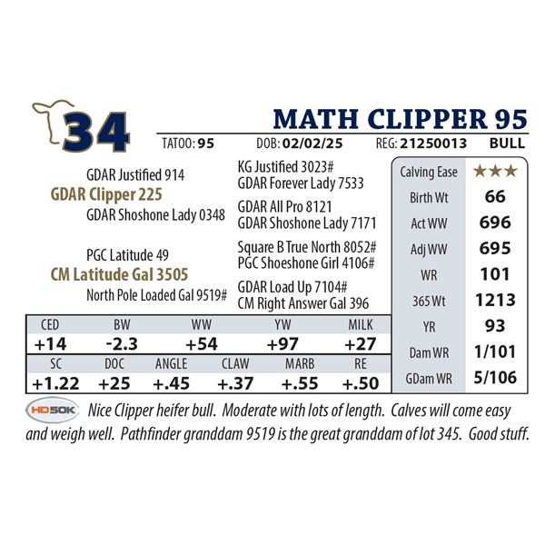 MATH CLIPPER 95