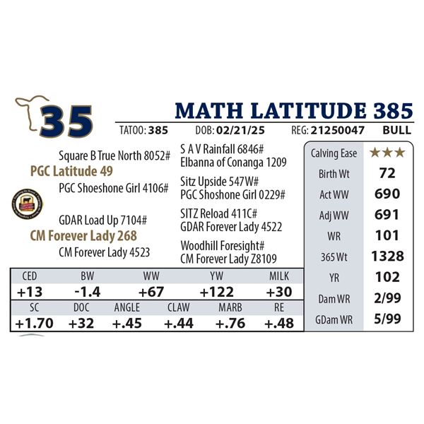 MATH LATITUDE 385