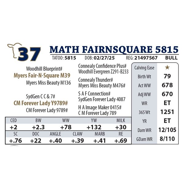 MATH FAIRNSQUARE 5815