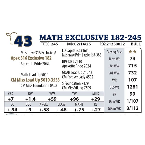 MATH EXCLUSIVE 182-245