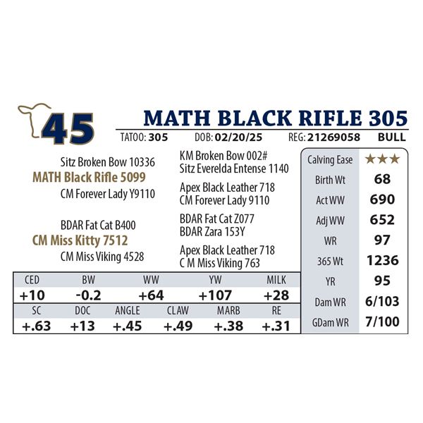 MATH BLACK RIFLE 305