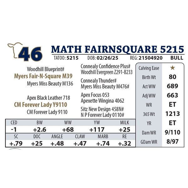 MATH FAIRNSQUARE 5215