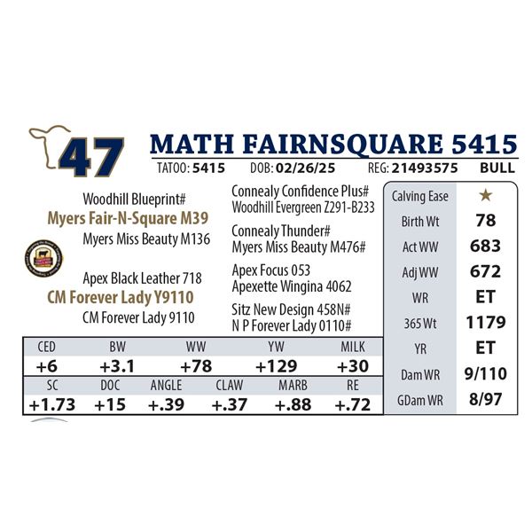 MATH FAIRNSQUARE 5415