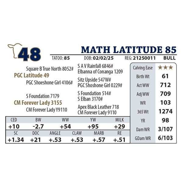 MATH LATITUDE 85