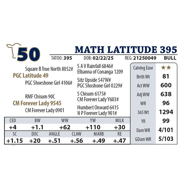 MATH LATITUDE 395
