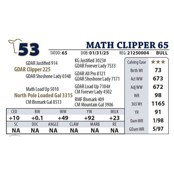 MATH CLIPPER 65