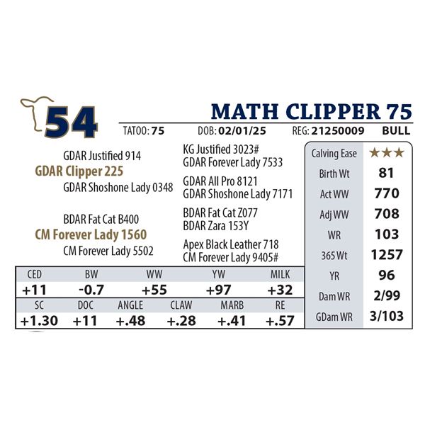 MATH CLIPPER 75