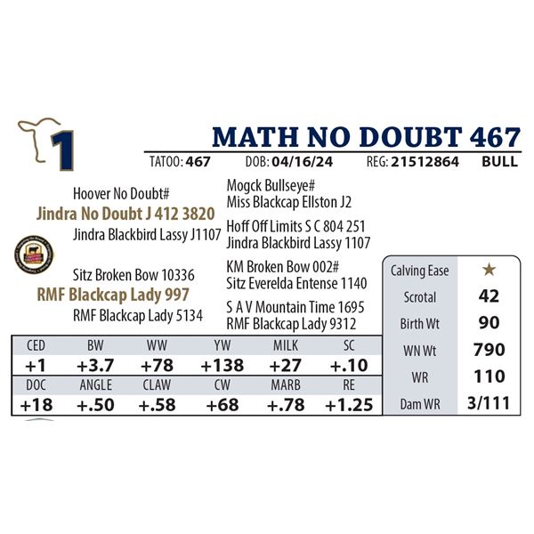 MATH NO DOUBT 467
